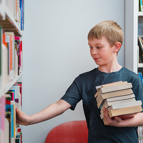 écoles partenaires - visite de la bibliothèque
