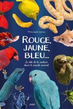 rouge, jaune, bleu...